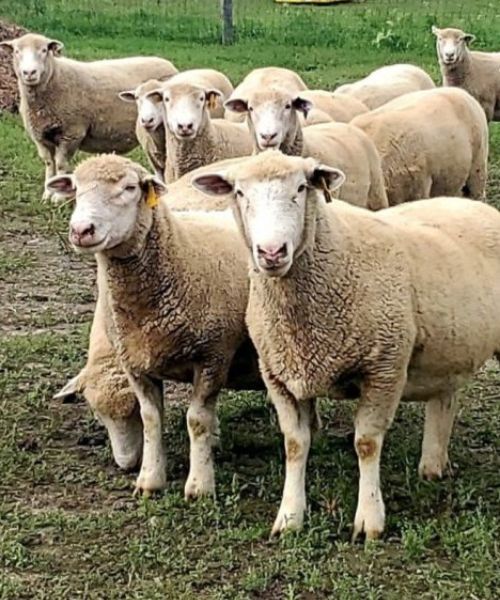 Top 10 Dutchess Events in April