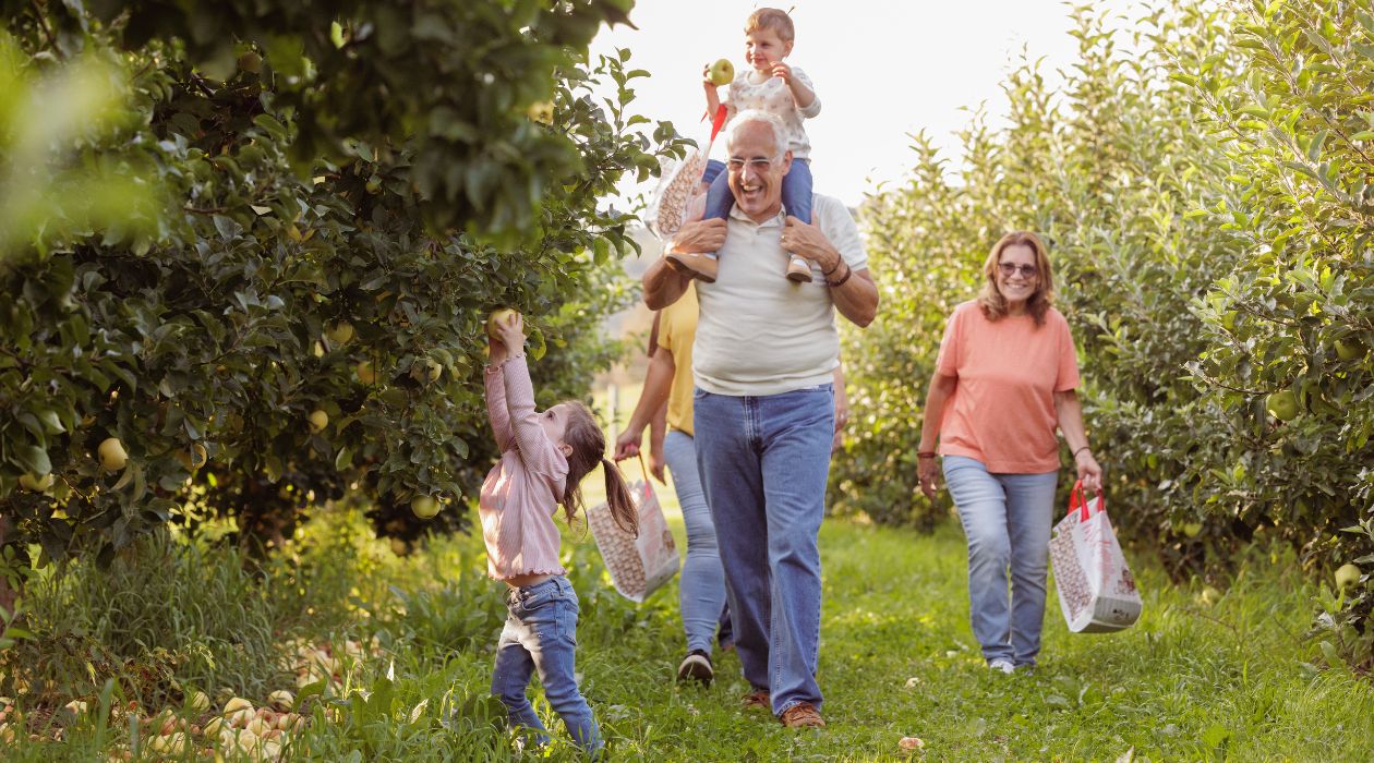 Barton Orchards, Poughquag