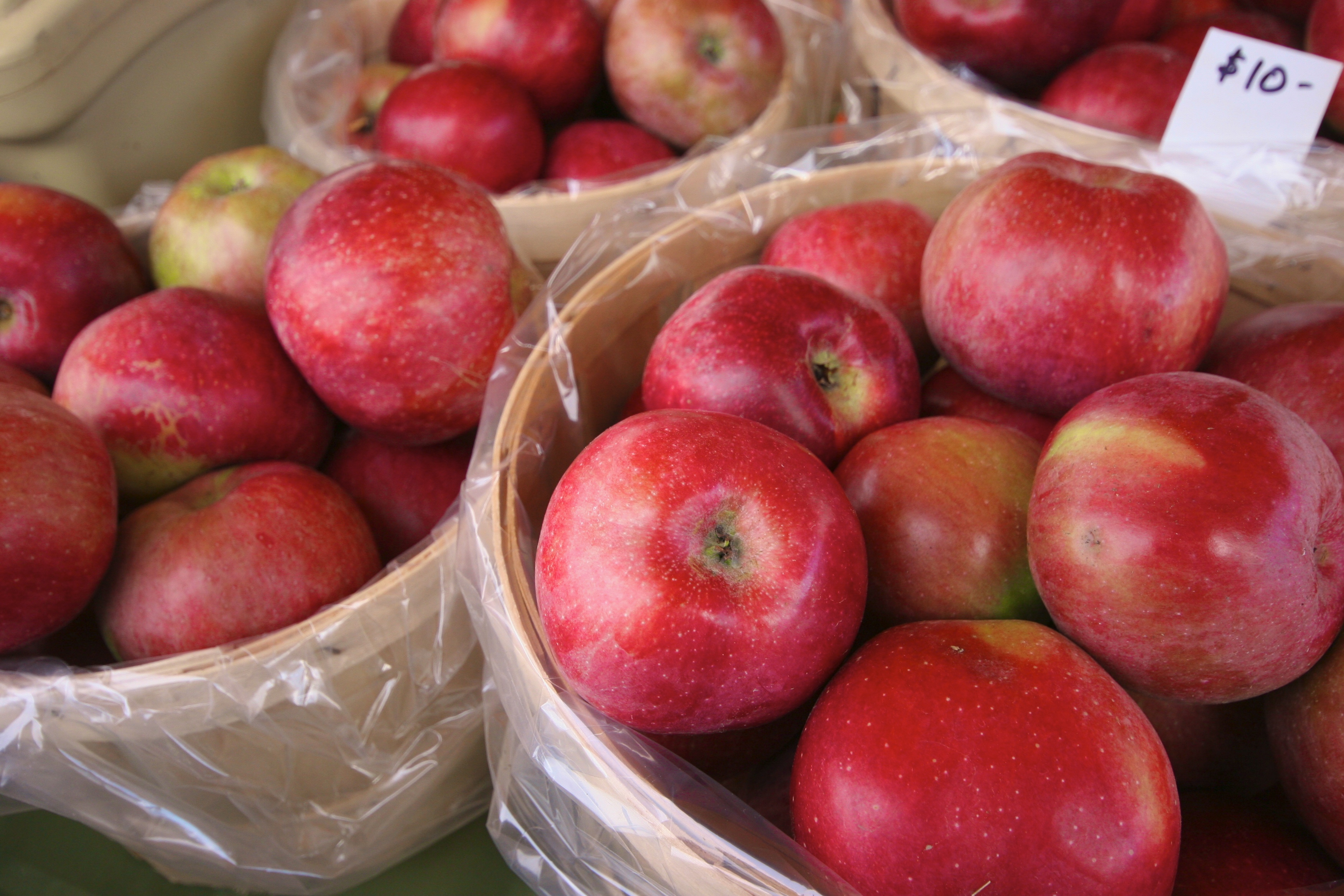 apples_image