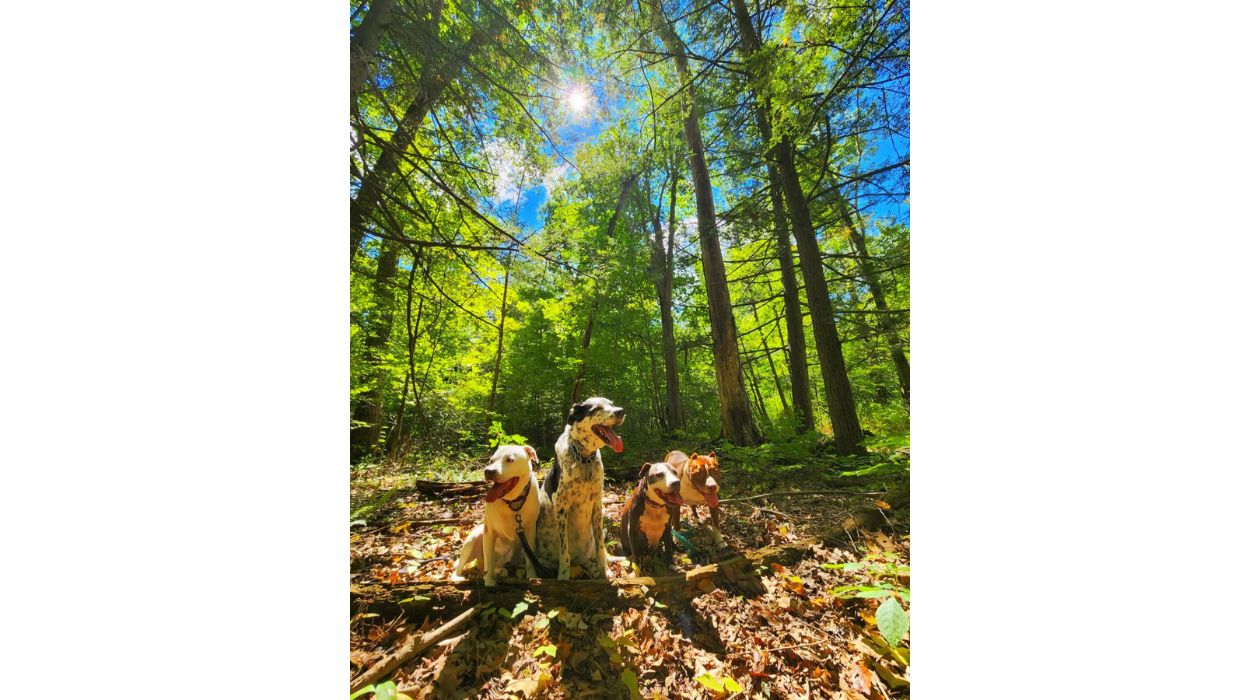 Roosevelt Farm Lane Trail