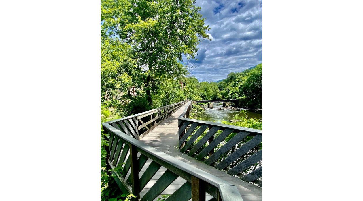 Madam Brett Park boardwalk