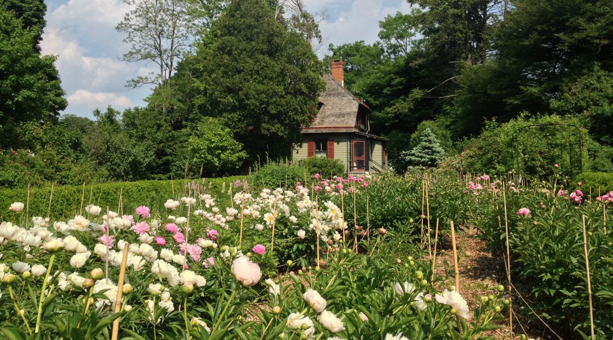 Locust Grove Estate
