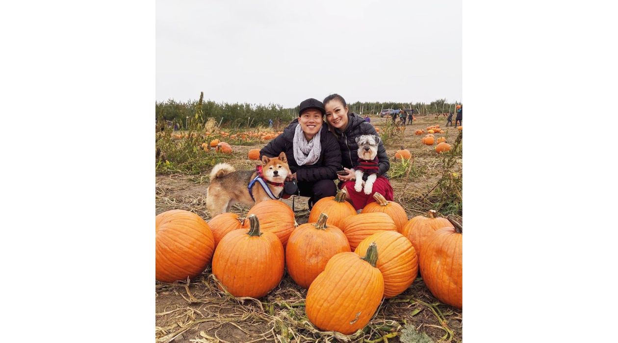 Pumpkin picking at Fishkill Farms