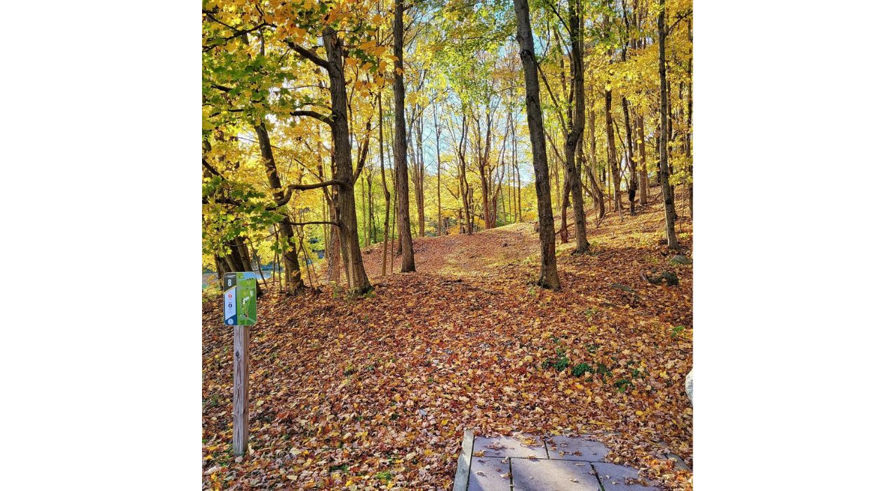 Wilcox Memorial Park