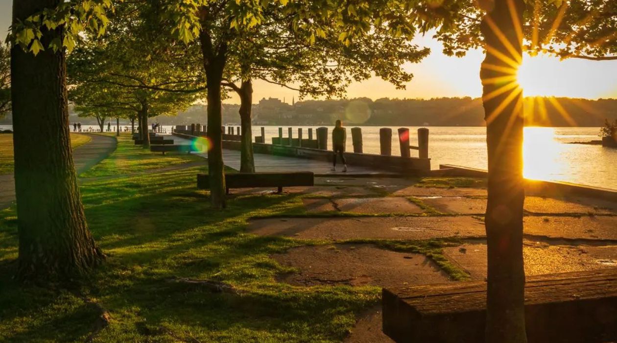 Long Dock Park Beacon