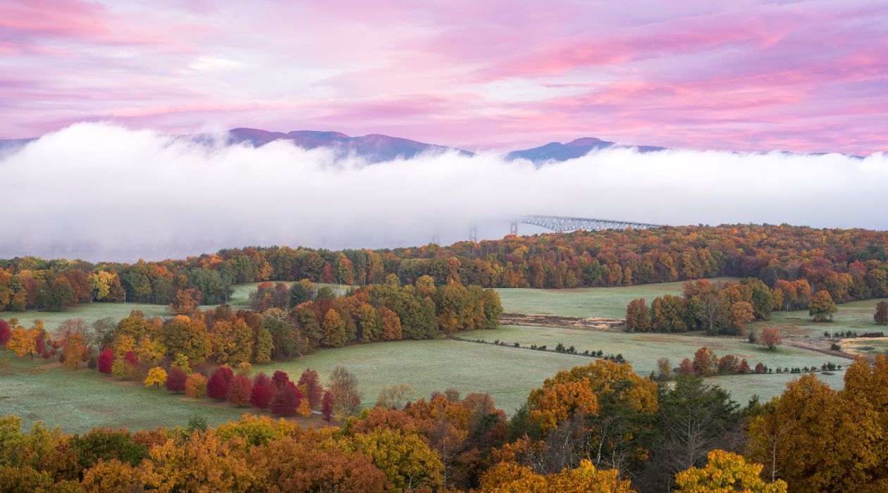 Ferncliff Forest Fall Foliage View