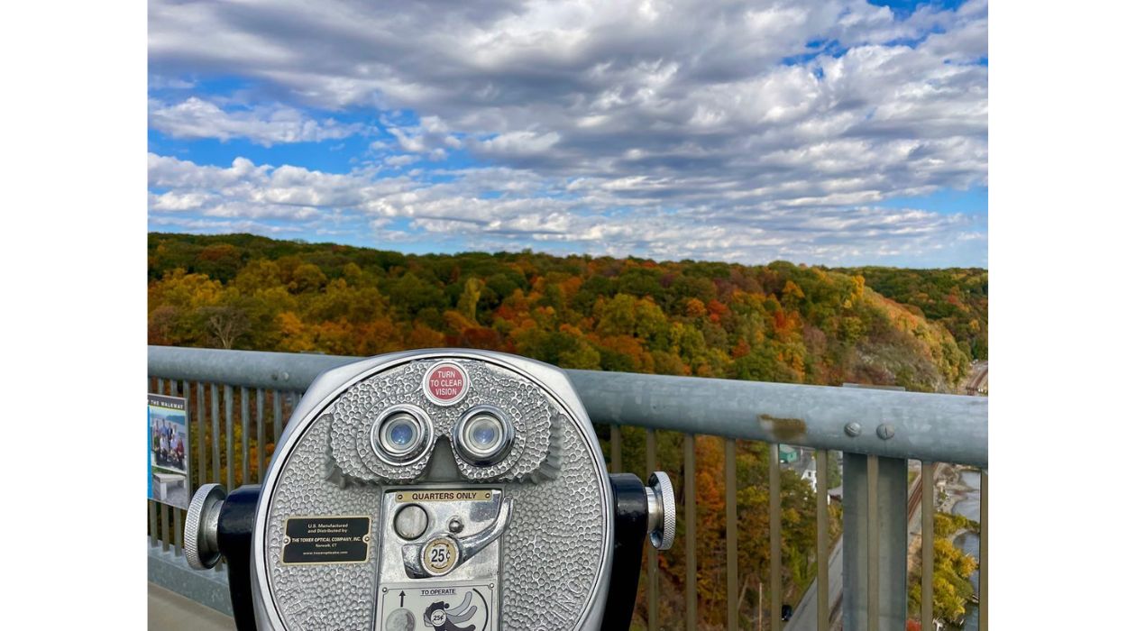 Walkway Over the Hudson foliage