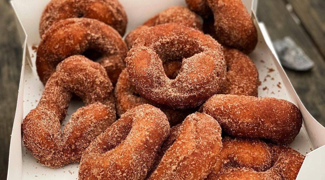 Apple cider donuts