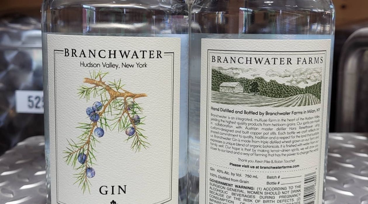 Two bottles of Branchwater Farms gin