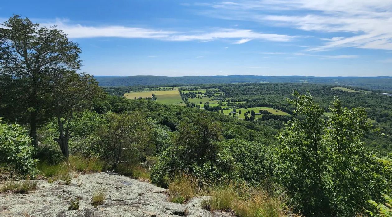 Cat Rocks in Pawling