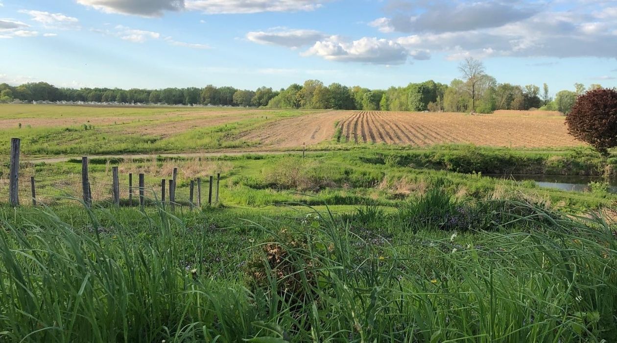Rolling green hills of a farm