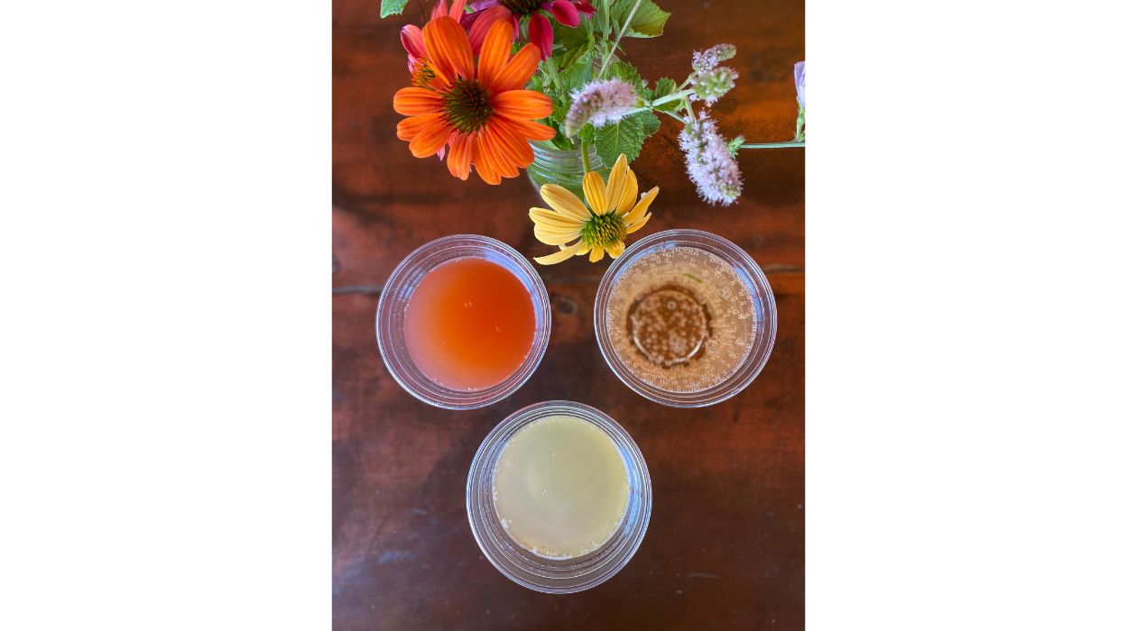 Overhead view of glasses of cider